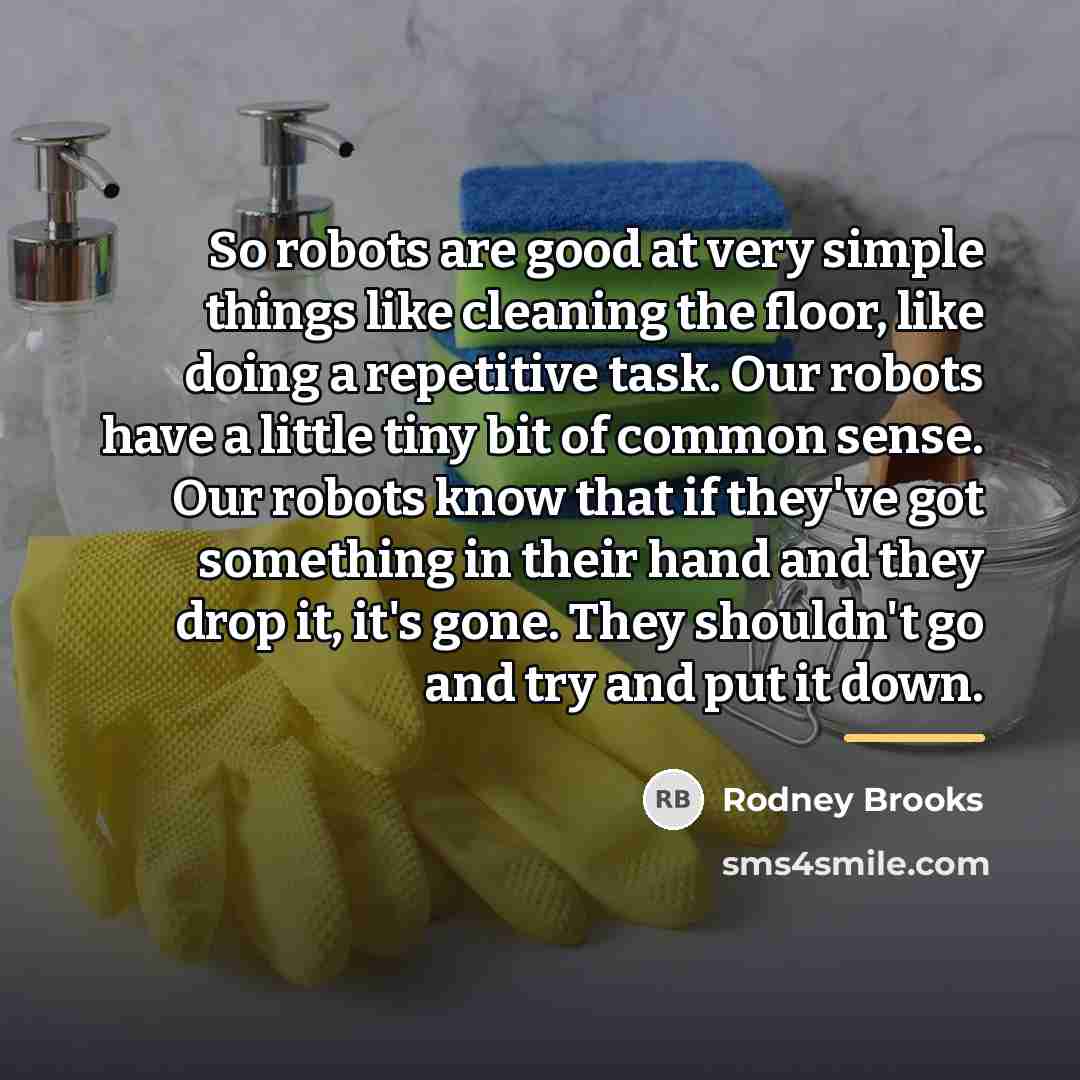 “So robots are good at very simple things like cleaning…” quote by Rodney Brooks