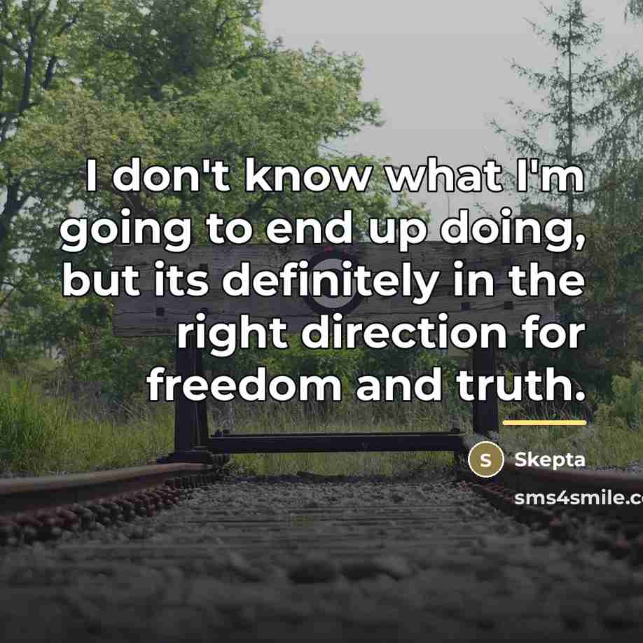 “I don't know what I'm going to end up doing,…” quote by Skepta