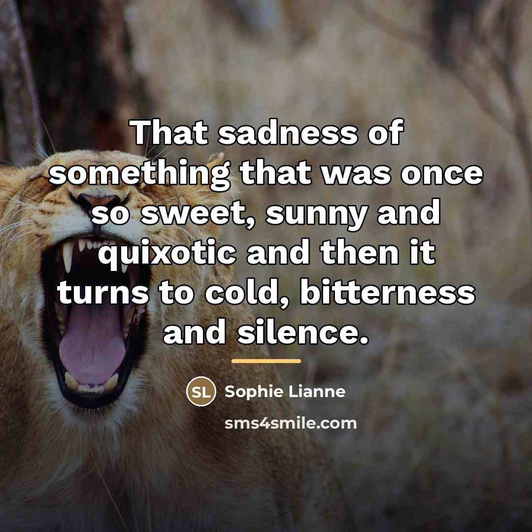 “That sadness of something that was once so sweet, sunny…” quote by Sophie Lianne