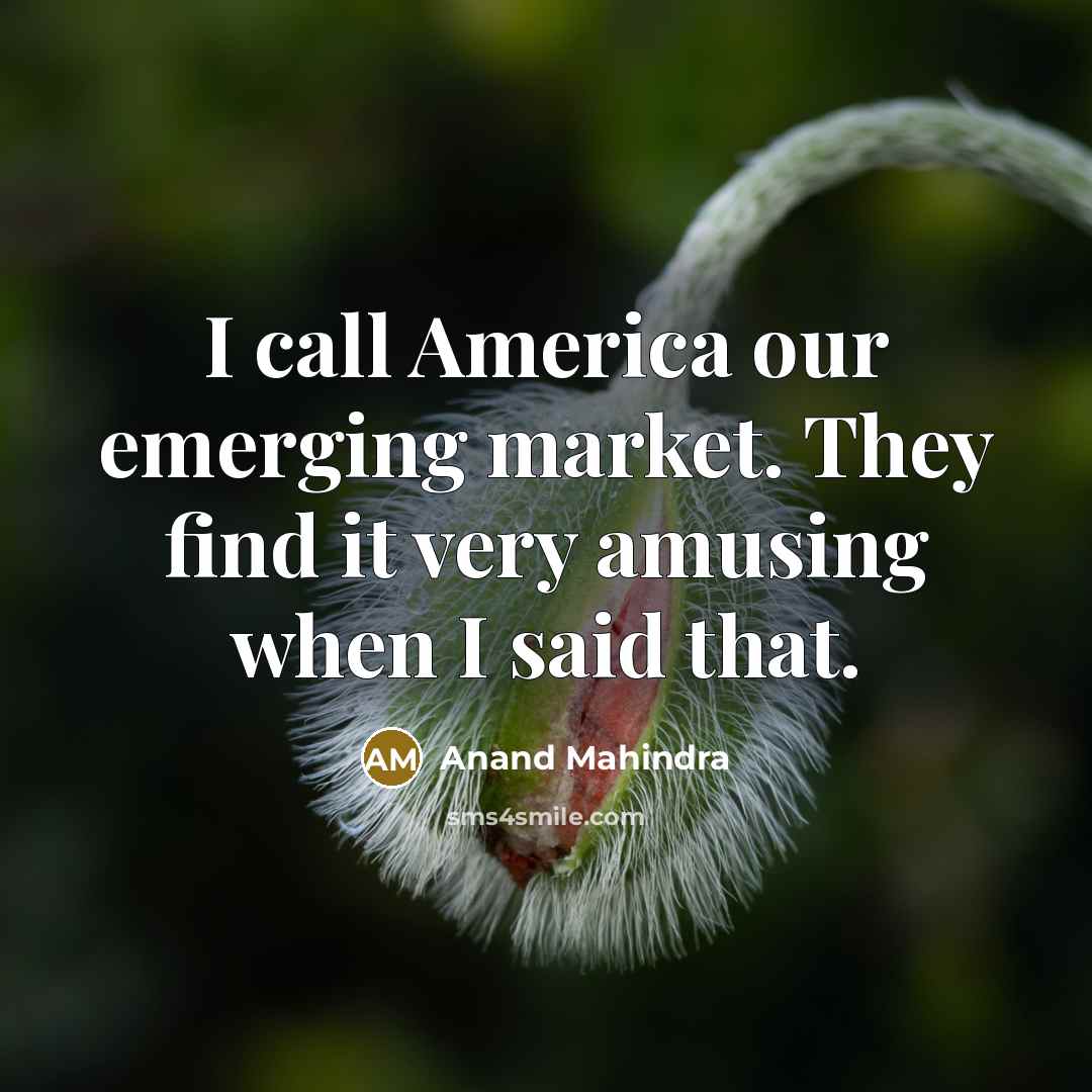 “I call America our emerging market. They find it very…” quote by Anand Mahindra
