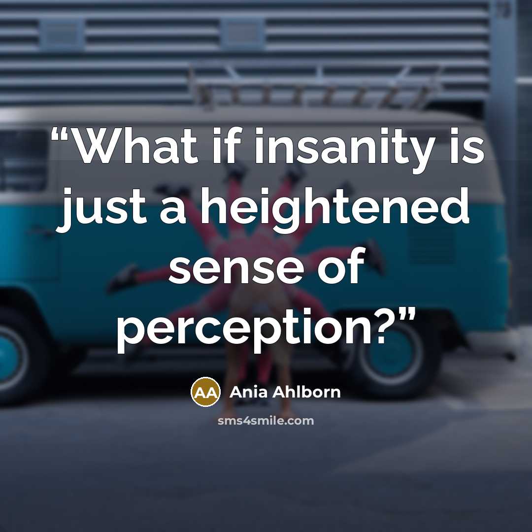 “What if insanity is just a heightened sense of perception?” quote by Ania Ahlborn