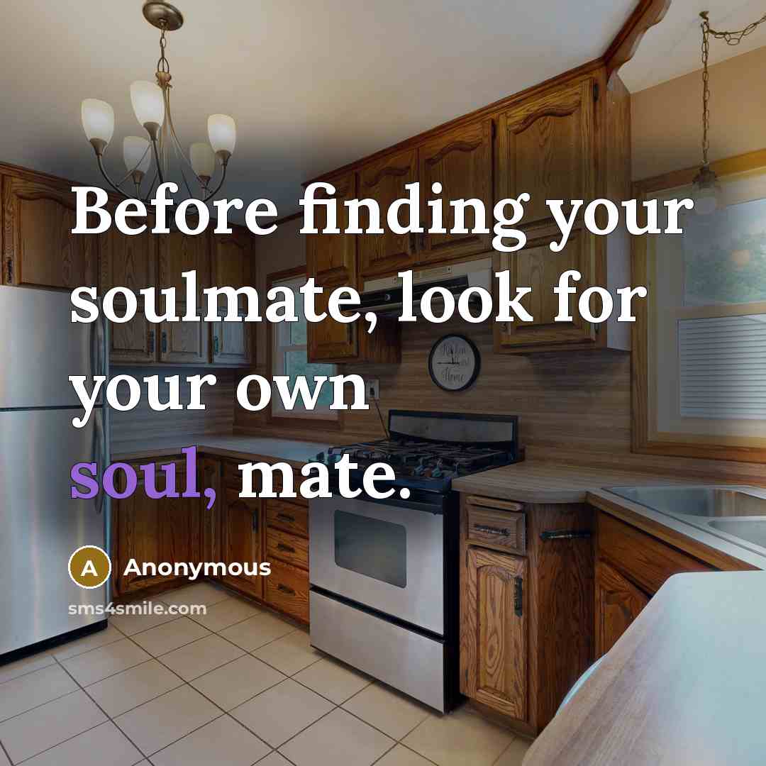 “Before finding your soulmate, look for your own soul, mate.” quote by Anonymous