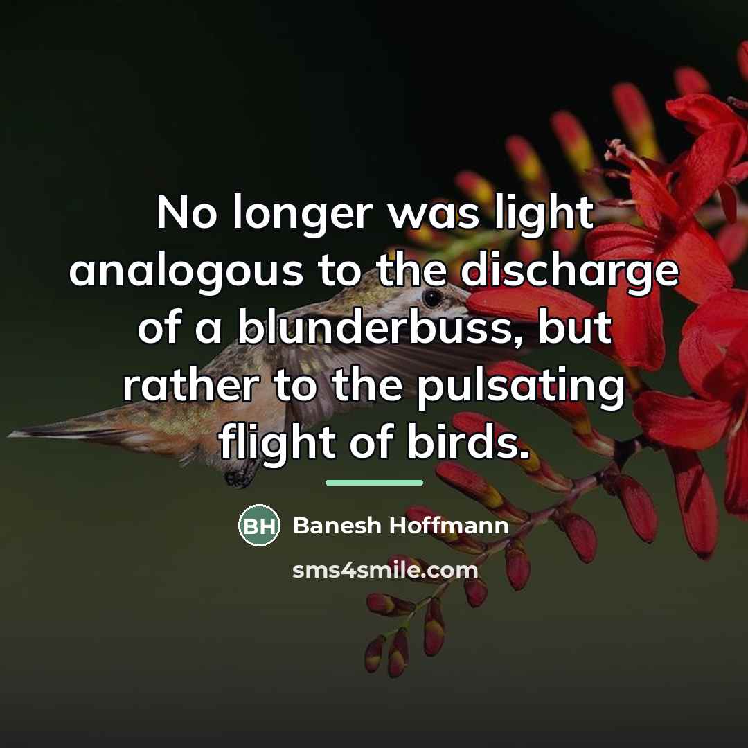 “No longer was light analogous to the discharge of a…” quote by Banesh Hoffmann