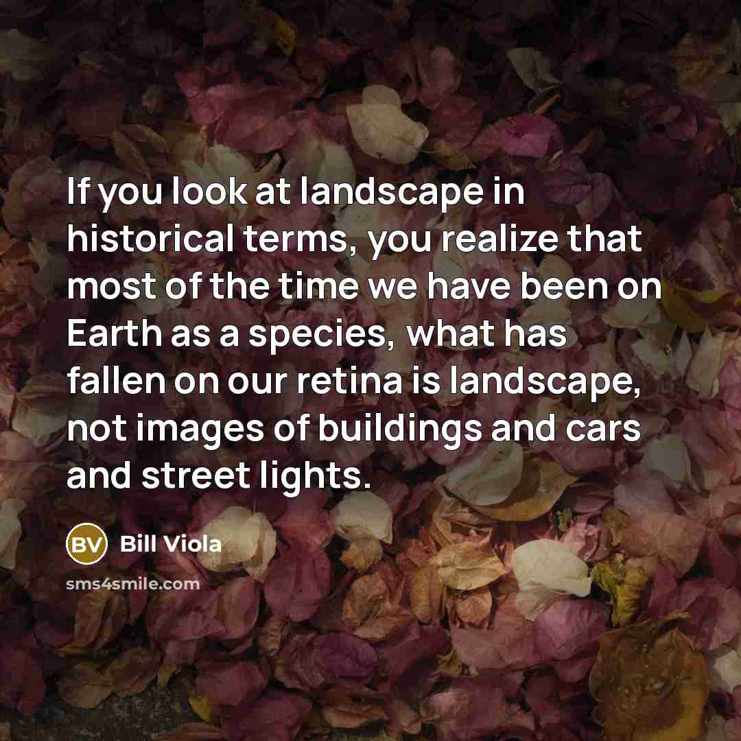“If you look at landscape in historical terms, you realize…” quote by Bill Viola