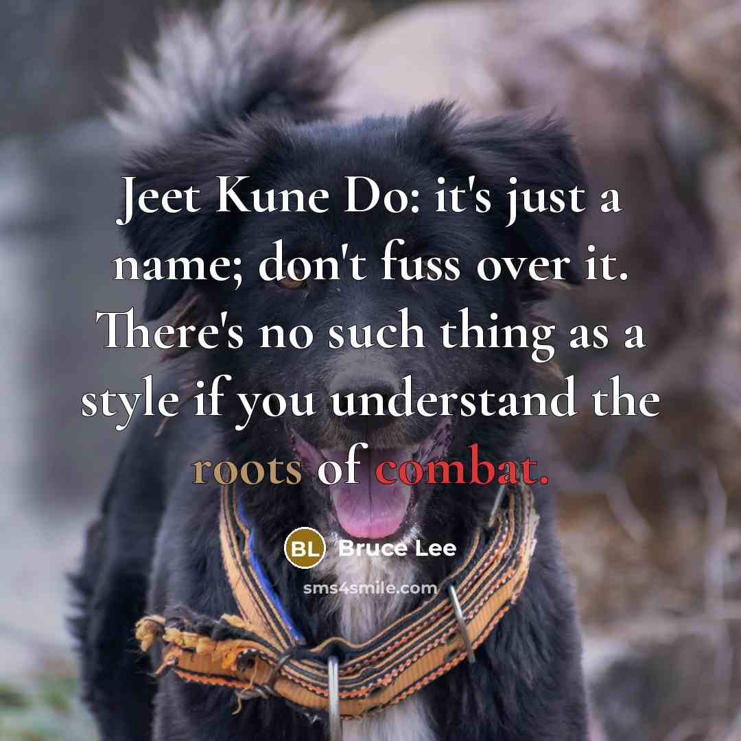 “Jeet Kune Do: it's just a name; don't fuss over…” quote by Bruce Lee