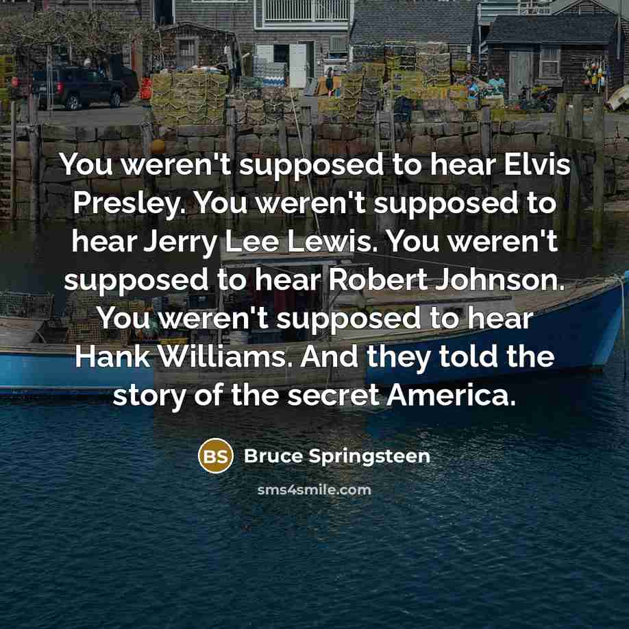 “You weren't supposed to hear Elvis Presley. You weren't supposed…” quote by Bruce Springsteen