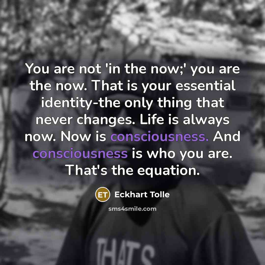 “You are not 'in the now;' you are the now.…” quote by Eckhart Tolle
