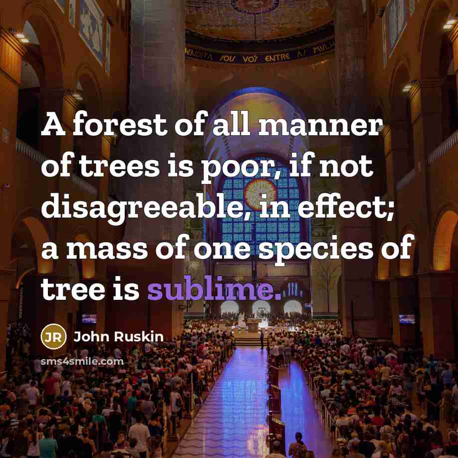 “A forest of all manner of trees is poor, if…” quote by John Ruskin