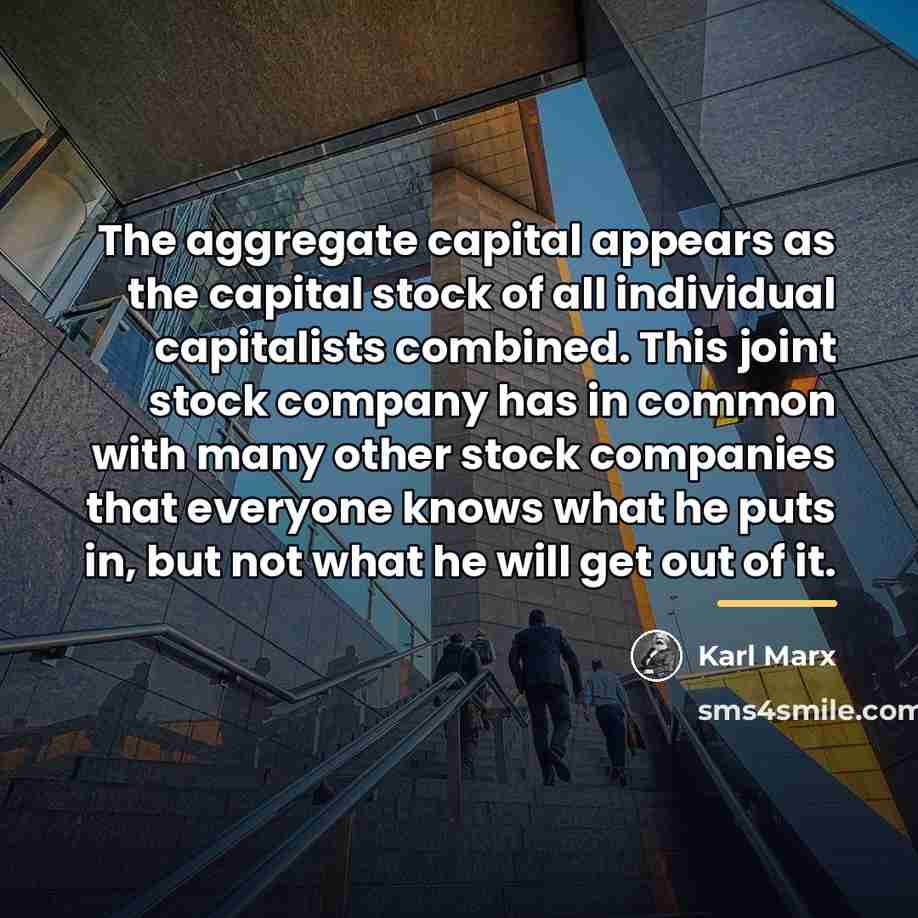 “The aggregate capital appears as the capital stock of all…” quote by Karl Marx