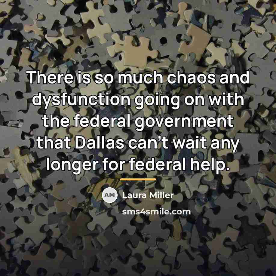 “There is so much chaos and dysfunction going on with…” quote by Laura Miller
