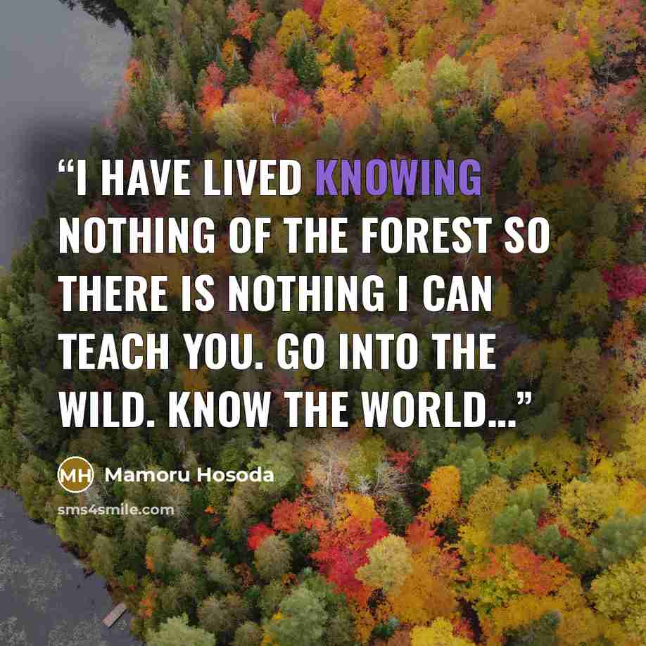 “I have lived knowing nothing of the forest so there is nothing I can teach you. Go into the wild. Know the world…” quote by Mamoru Hosoda