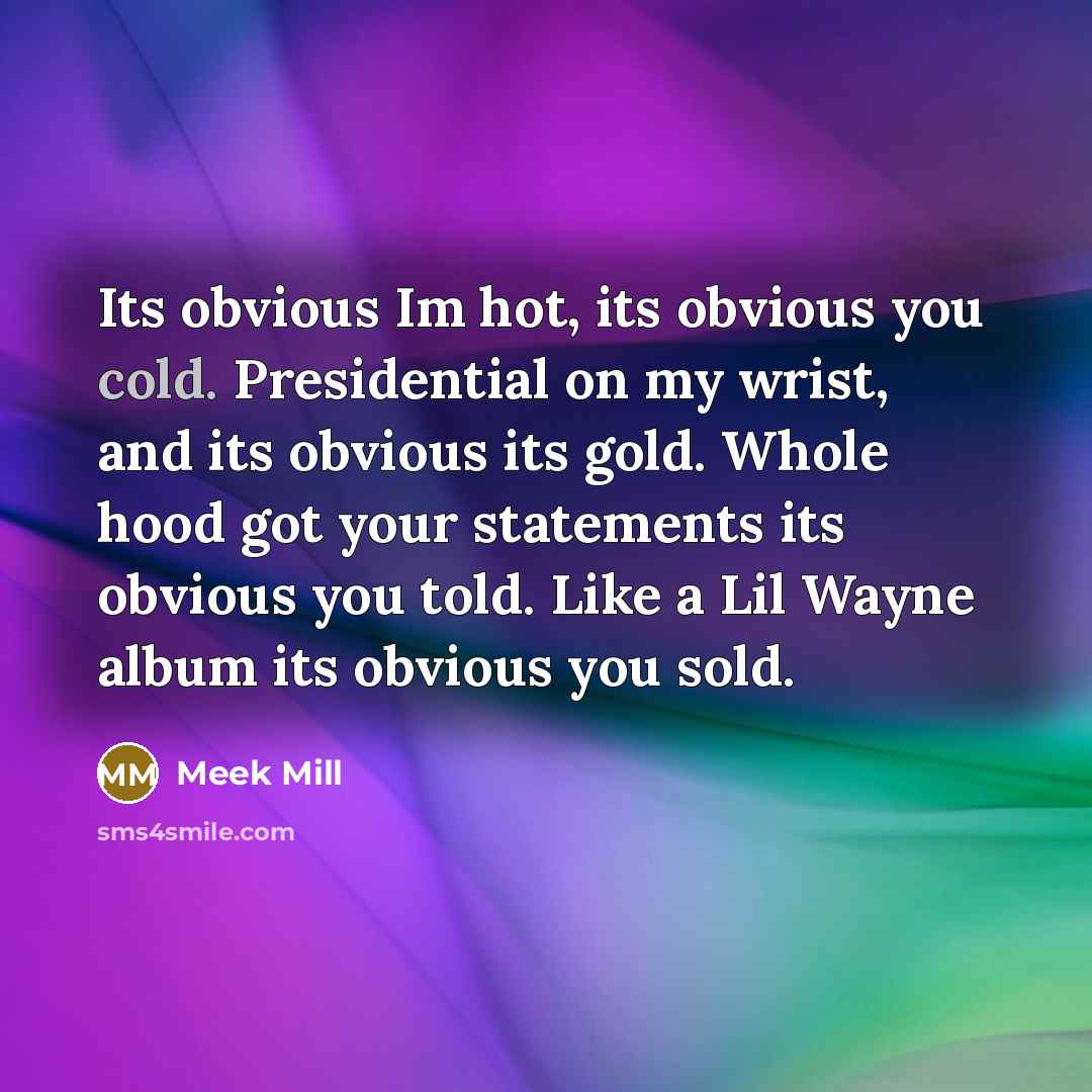“Its obvious Im hot, its obvious you cold. Presidential on…” quote by Meek Mill