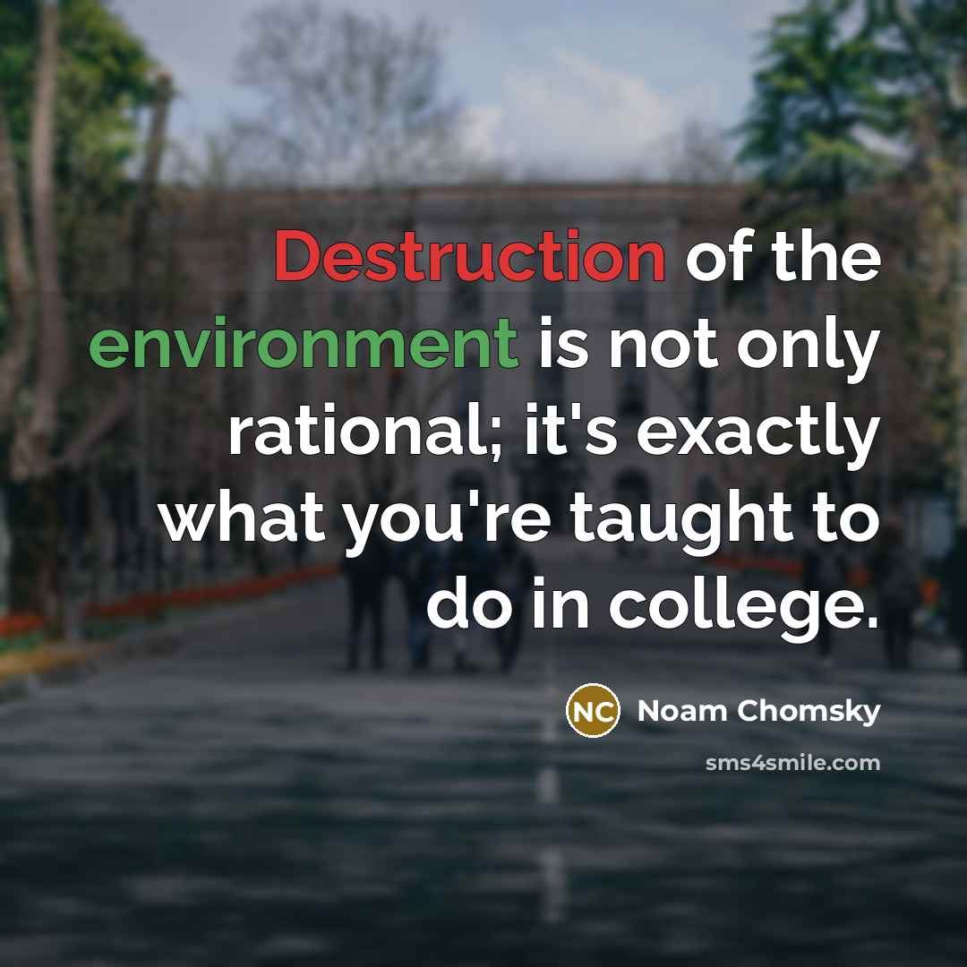 “Destruction of the environment is not only rational; it's exactly…” quote by Noam Chomsky