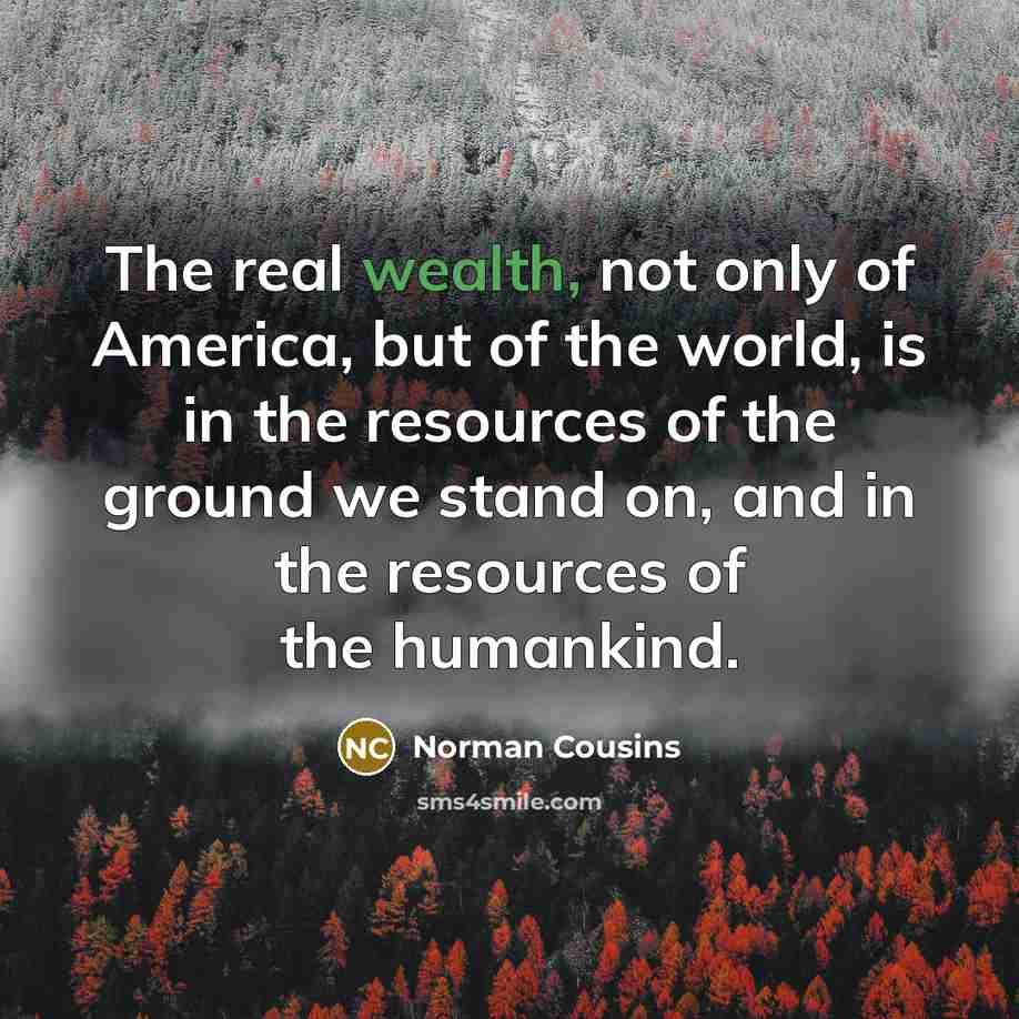 “The real wealth, not only of America, but of the…” quote by Norman Cousins
