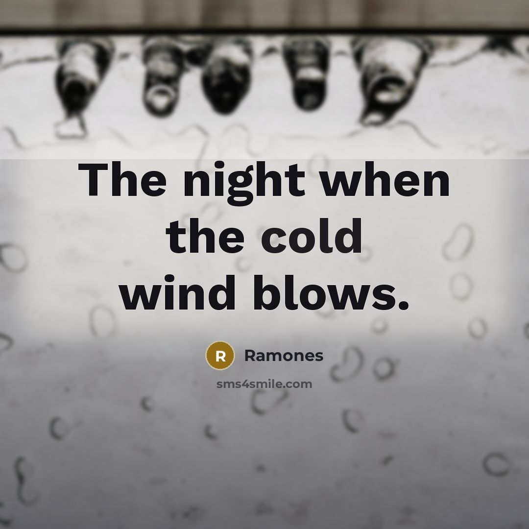 “The night when the cold wind blows.…” quote by Ramones