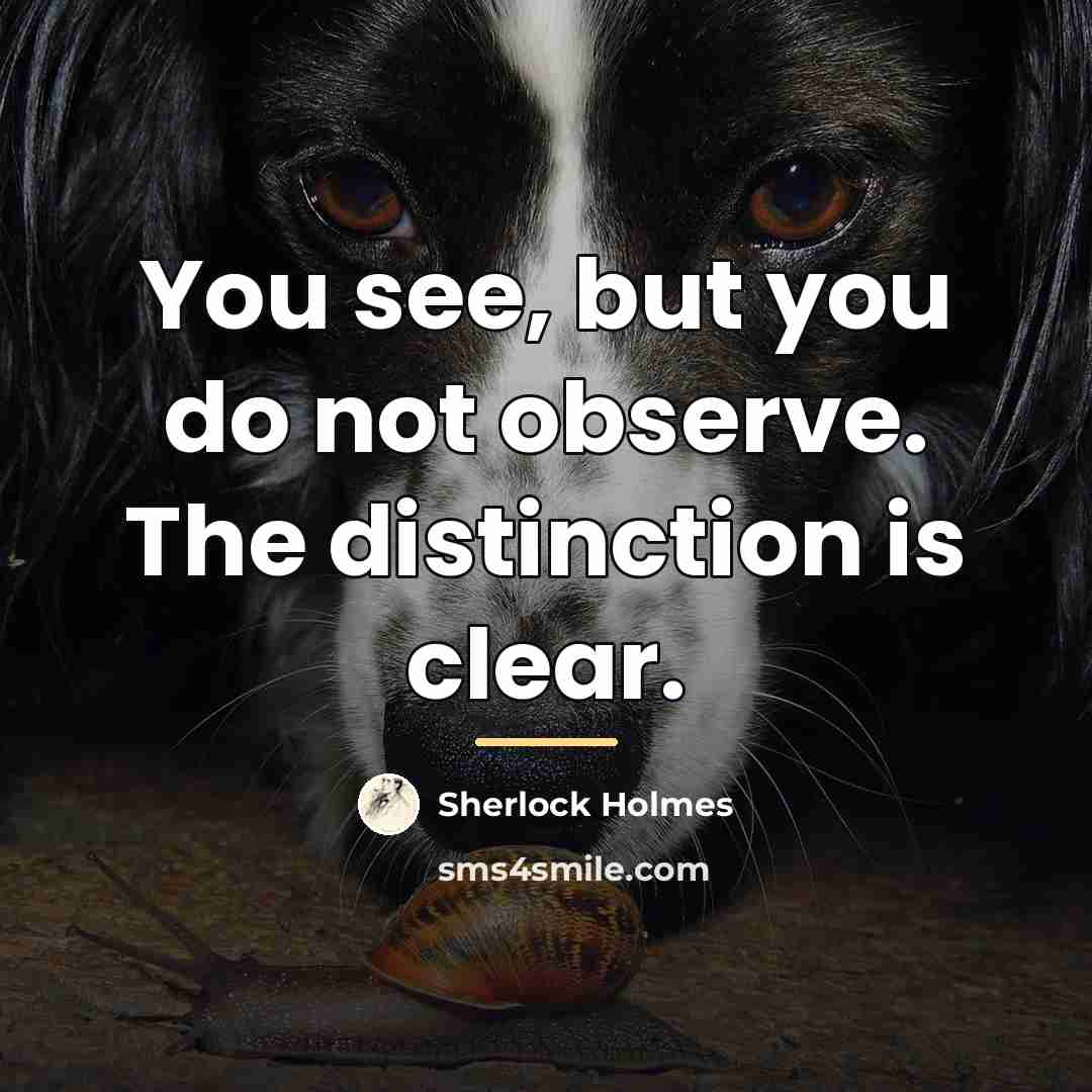 “You see, but you do not observe. The distinction is…” quote by Sherlock Holmes
