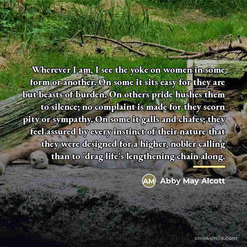 “Wherever I am, I see the yoke on women in…” quote by Abby May Alcott