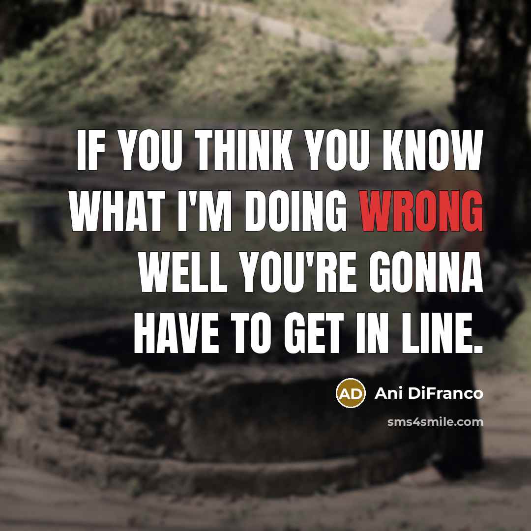 “If you think you know what I'm doing wrong well…” quote by Ani DiFranco
