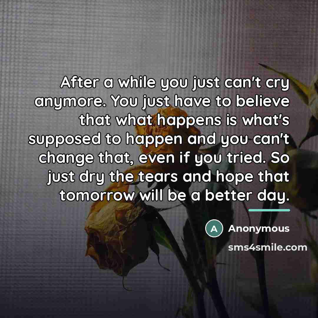 “After a while you just can't cry anymore. You just…” quote by Anonymous