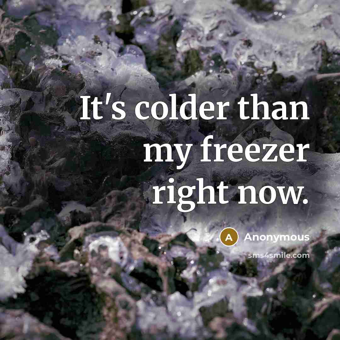 “It's colder than my freezer right now.…” quote by Anonymous