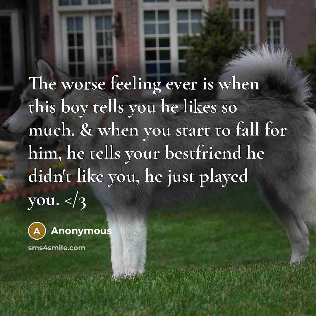 “The worse feeling ever is when this boy tells you he likes so much. & when you start to fall for him, he tells your bestfriend he didn't like you, he just played you.” quote by Anonymous