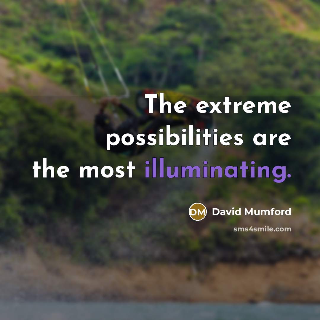 “The extreme possibilities are the most illuminating.” quote by David Mumford