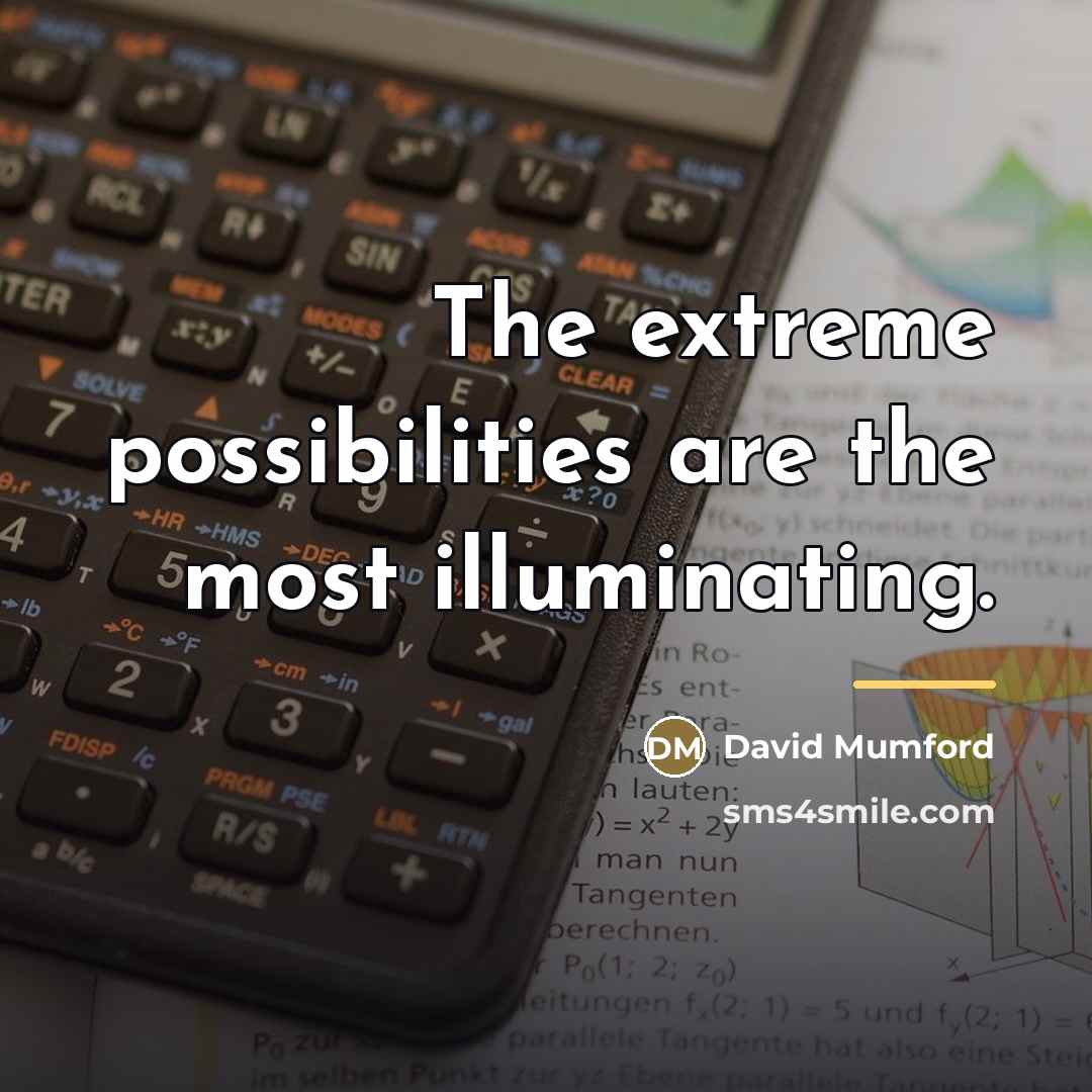 “The extreme possibilities are the most illuminating.…” quote by David Mumford