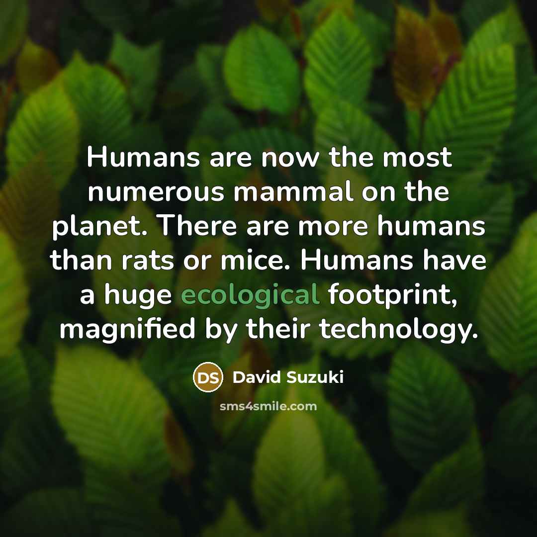 “Humans are now the most numerous mammal on the planet.…” quote by David Suzuki