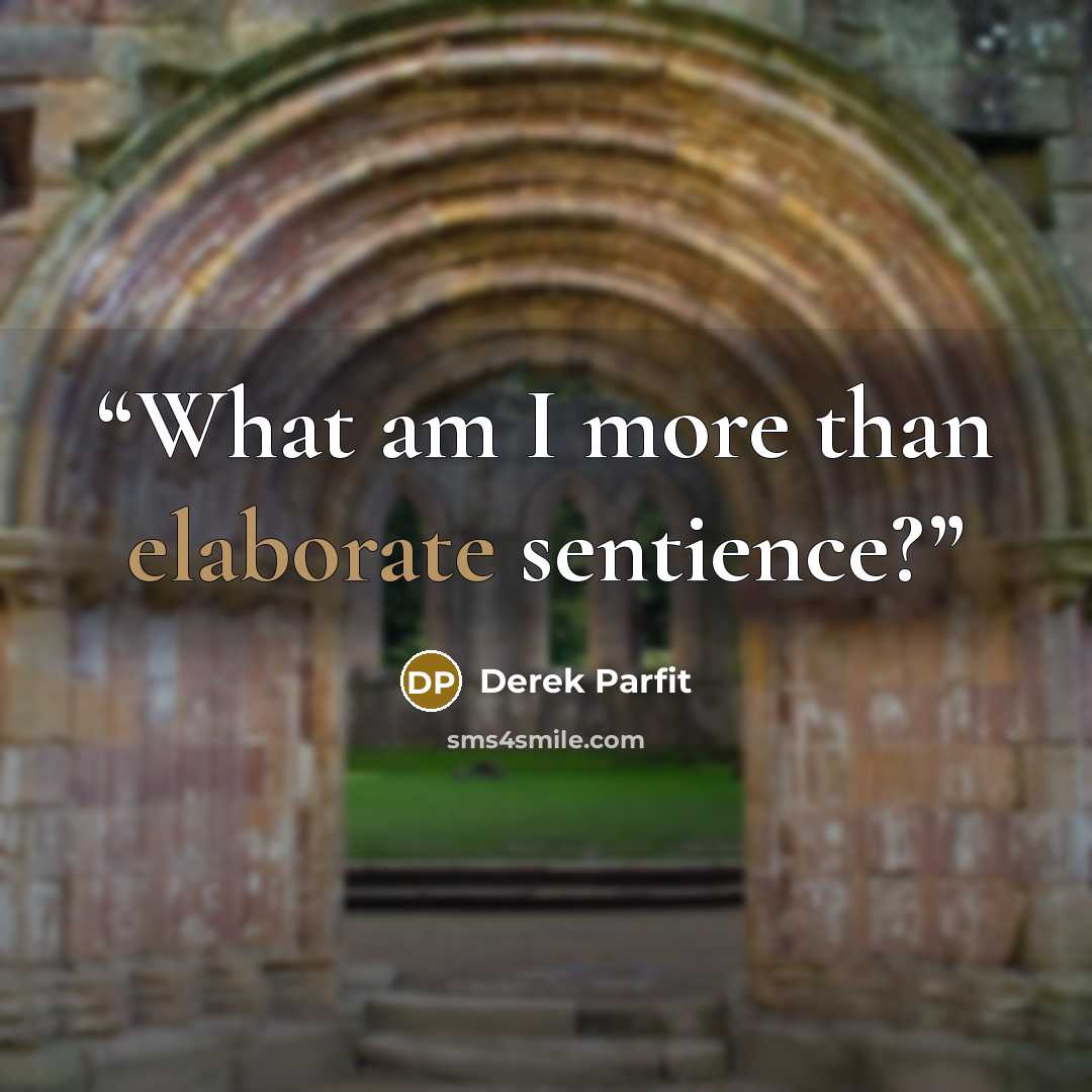 “What am I more than elaborate sentience?” quote by Derek Parfit