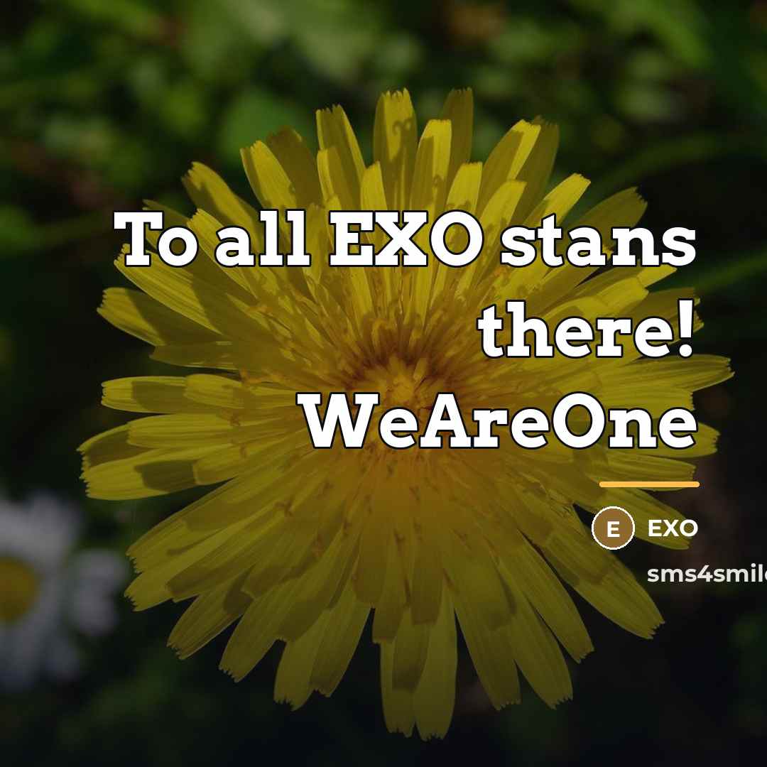 “To all EXO stans there! WeAreOne…” quote by EXO