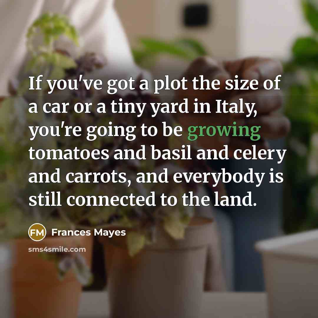 “If you've got a plot the size of a car…” quote by Frances Mayes