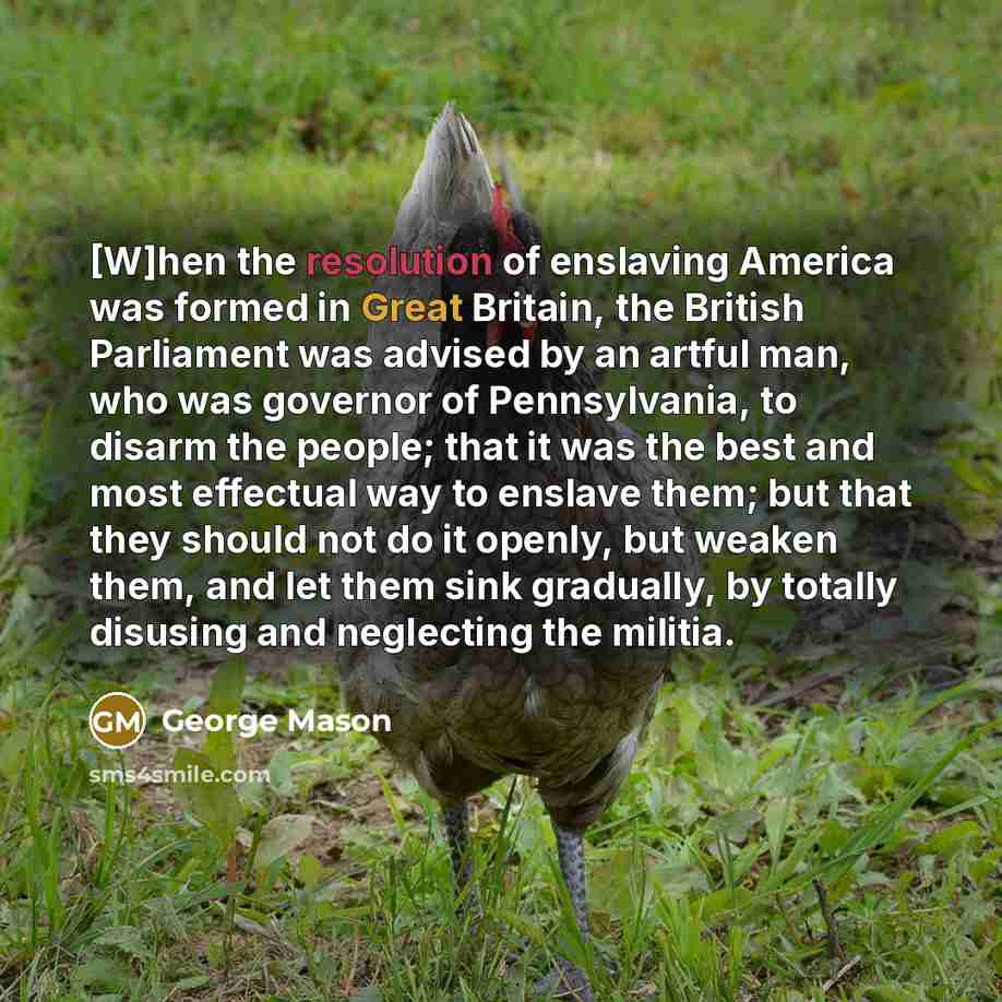 “[W]hen the resolution of enslaving America was formed in Great…” quote by George Mason