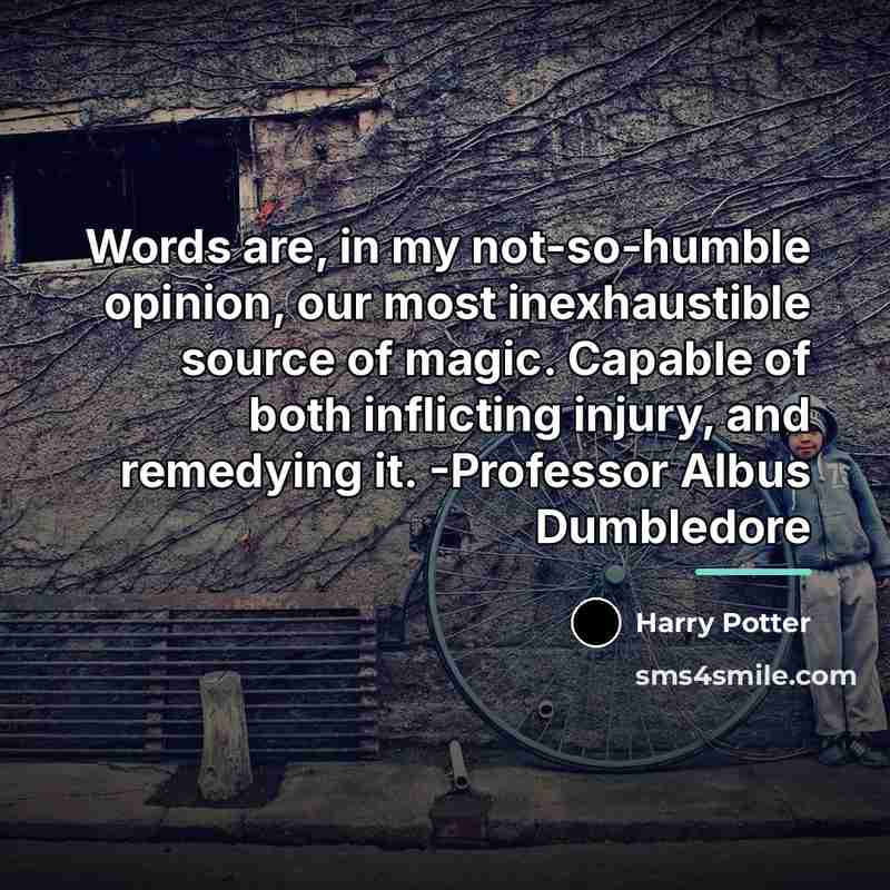 “Words are, in my not-so-humble opinion, our most inexhaustible source…” quote by Harry Potter