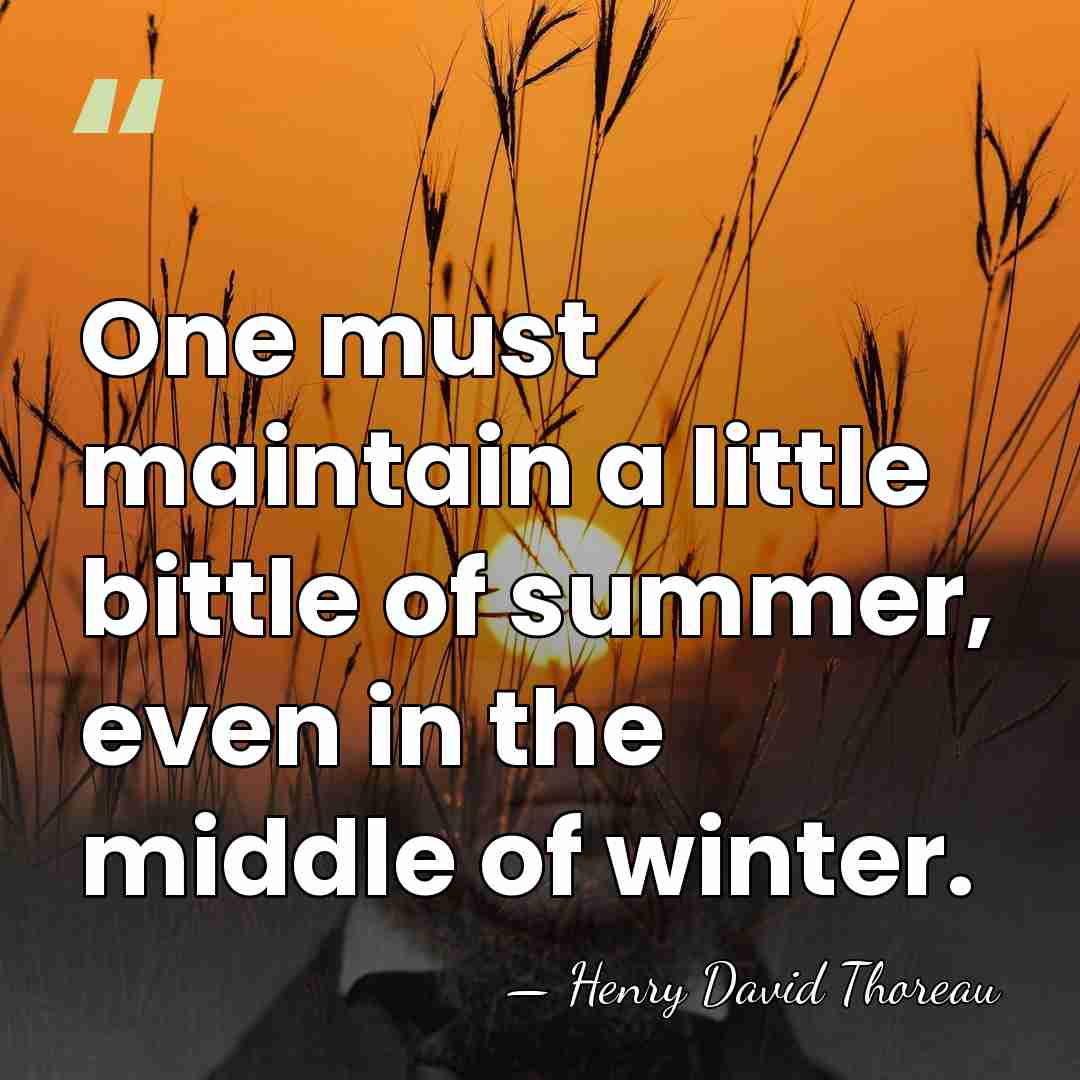One must maintain a little bittle of summer, even in the middle&hellip; - Henry David Thoreau