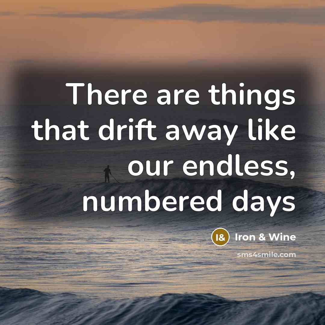 “There are things that drift away like our endless, numbered…” quote by Iron & Wine