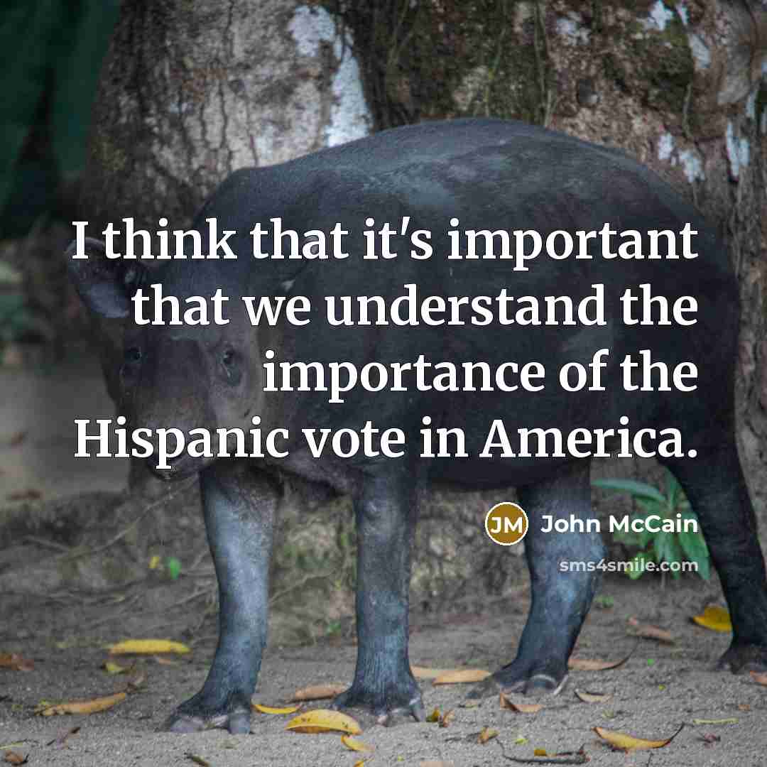 “I think that it's important that we understand the importance…” quote by John McCain