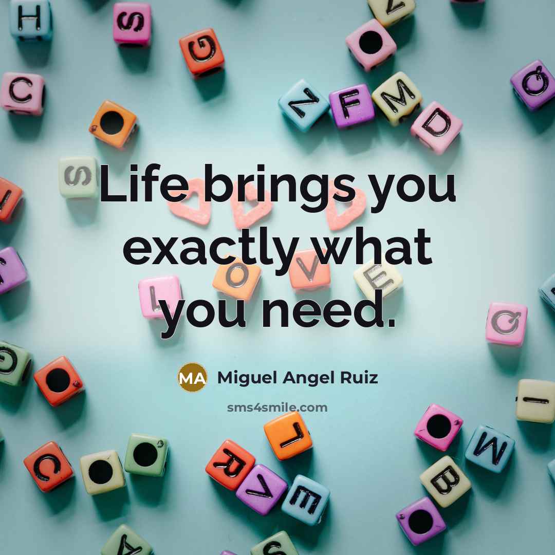 “Life brings you exactly what you need.” quote by Miguel Angel Ruiz