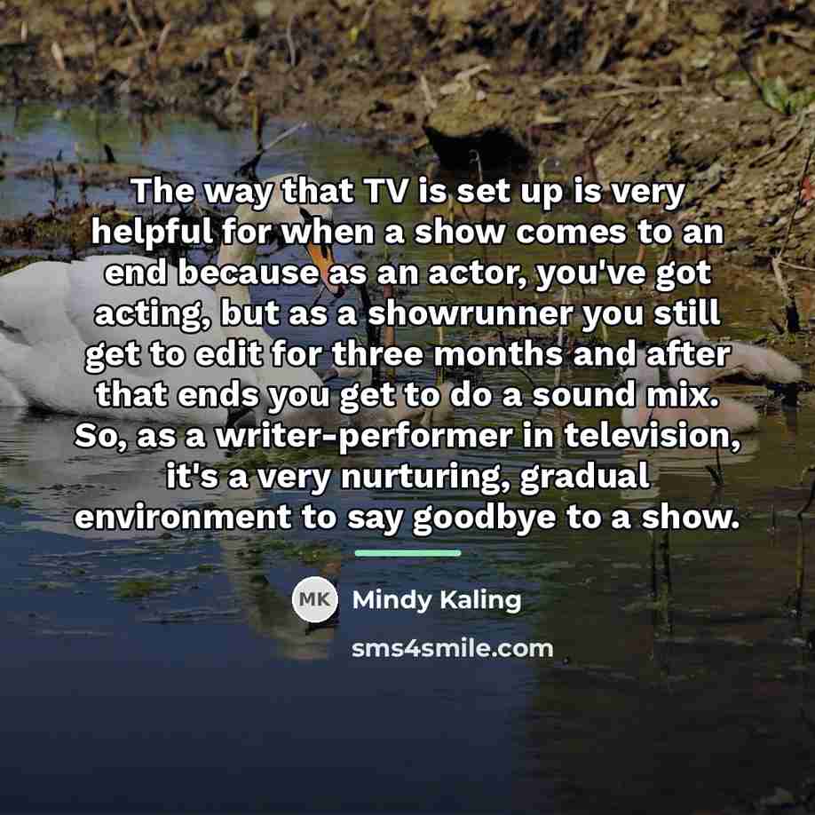 “The way that TV is set up is very helpful…” quote by Mindy Kaling