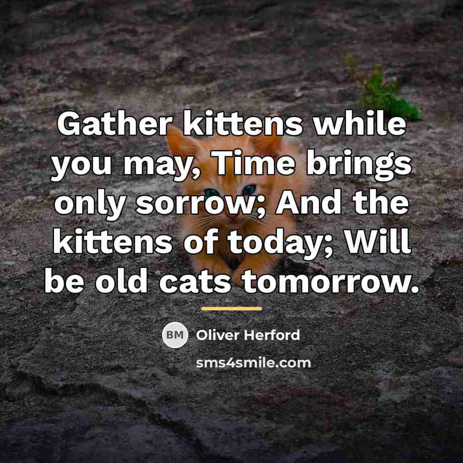 “Gather kittens while you may, Time brings only sorrow; And…” quote by Oliver Herford