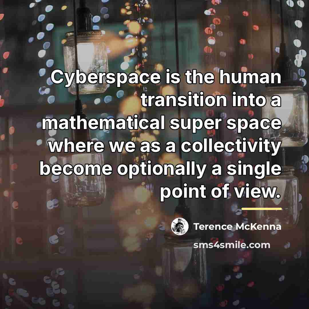 “Cyberspace is the human transition into a mathematical super space…” quote by Terence McKenna