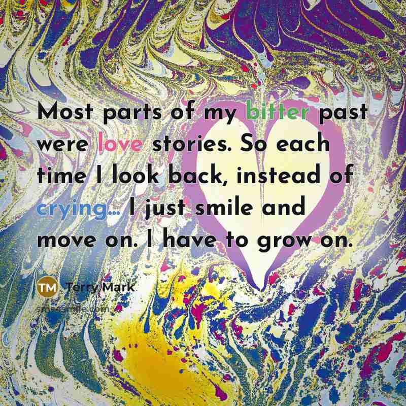 “Most parts of my bitter past were love stories. So…” quote by Terry Mark