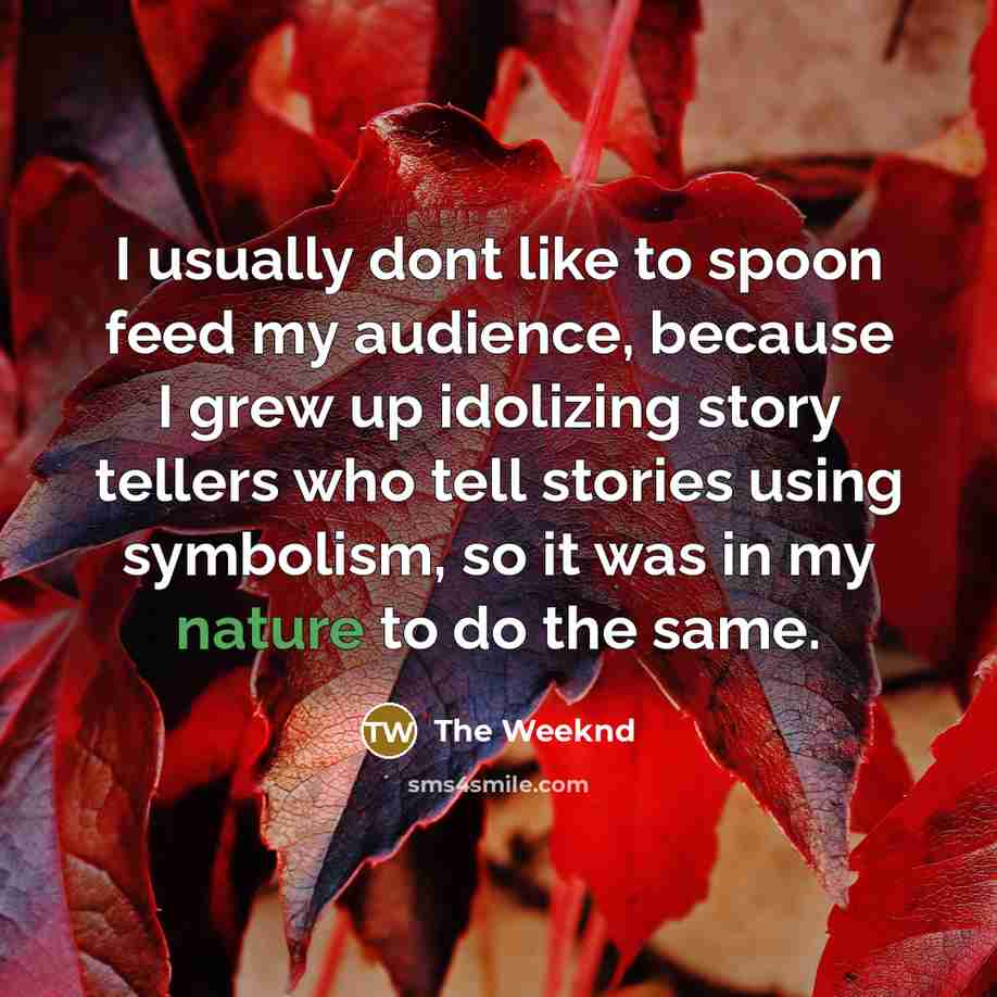 “I usually dont like to spoon feed my audience, because…” quote by The Weeknd