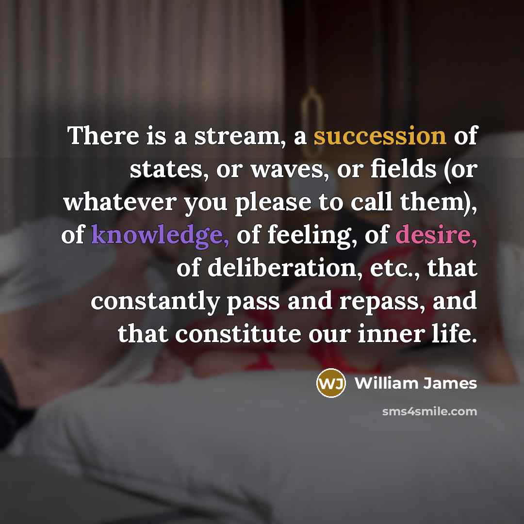 “There is a stream, a succession of states, or waves,…” quote by William James
