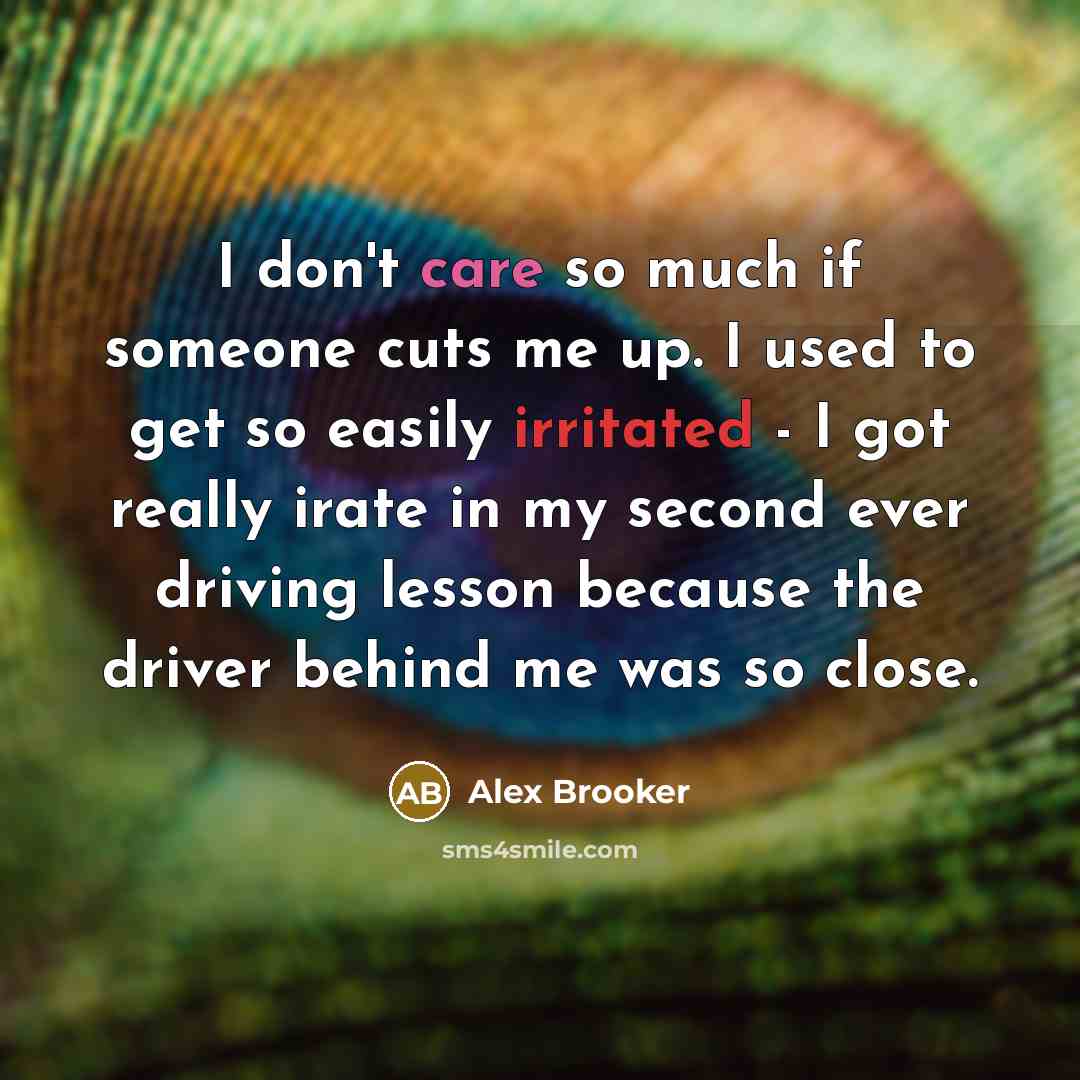 “I don't care so much if someone cuts me up.…” quote by Alex Brooker