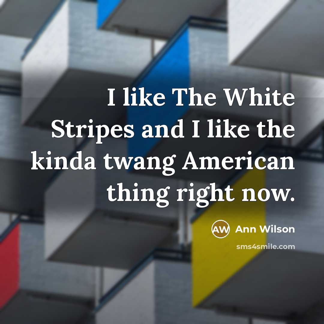 “I like The White Stripes and I like the kinda…” quote by Ann Wilson