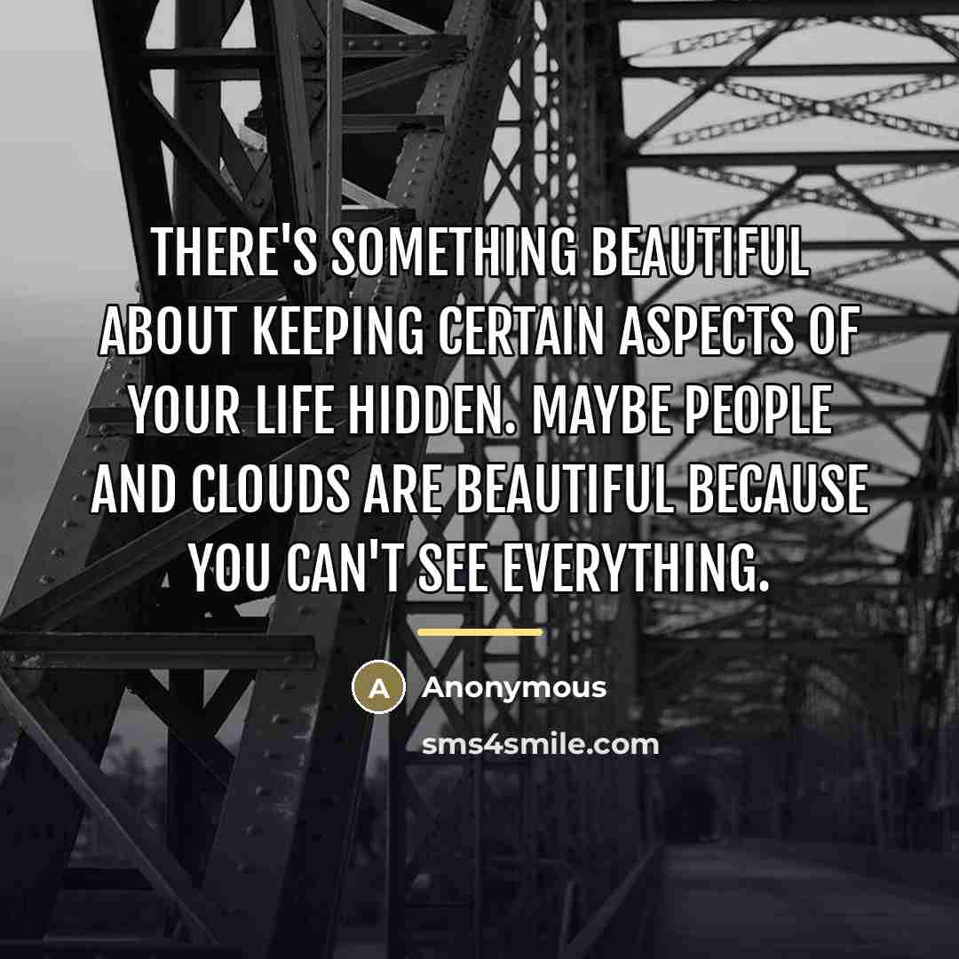“There's something beautiful about keeping certain aspects of your life…” quote by Kamenashi Kazuya