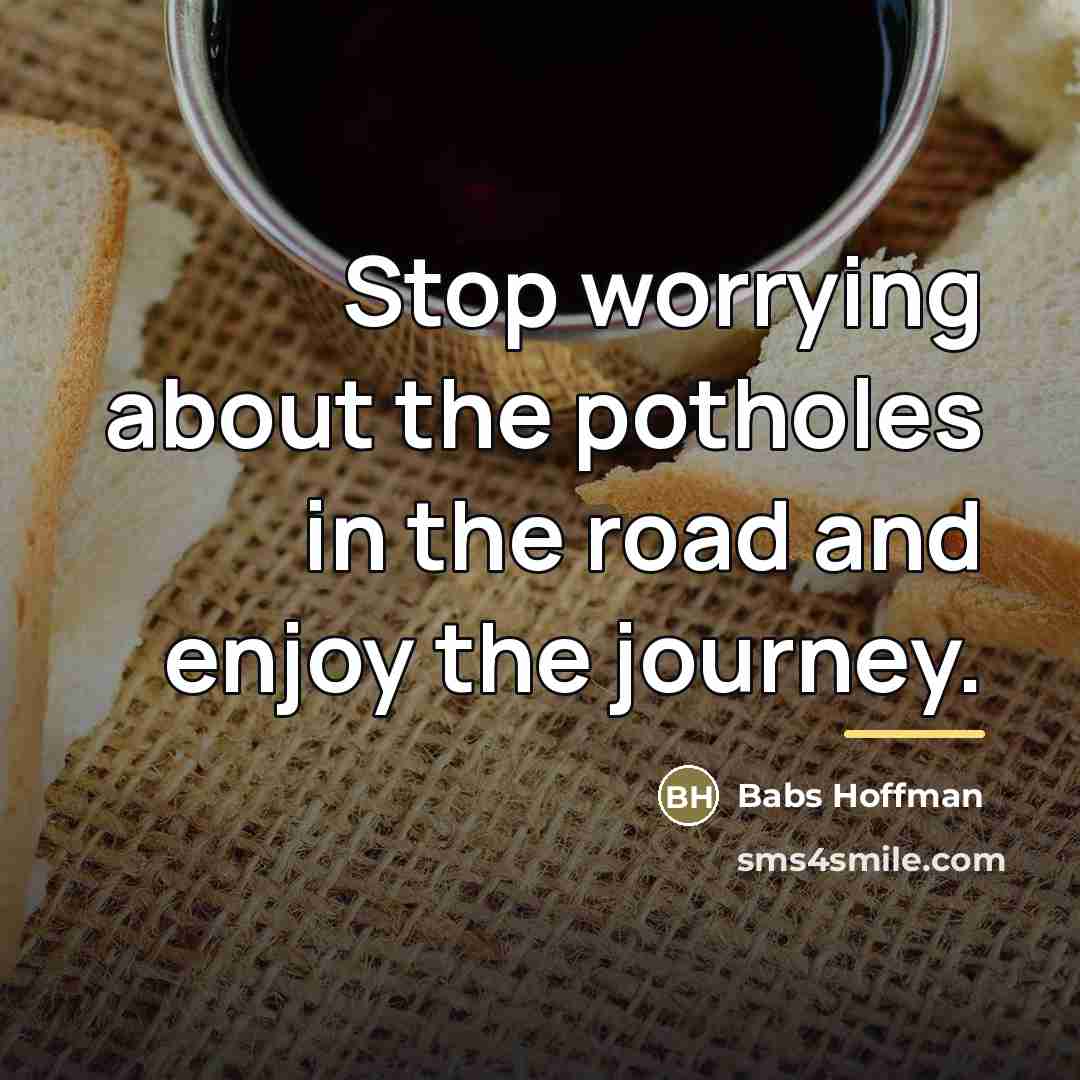 “Stop worrying about the potholes in the road and enjoy…” quote by Babs Hoffman