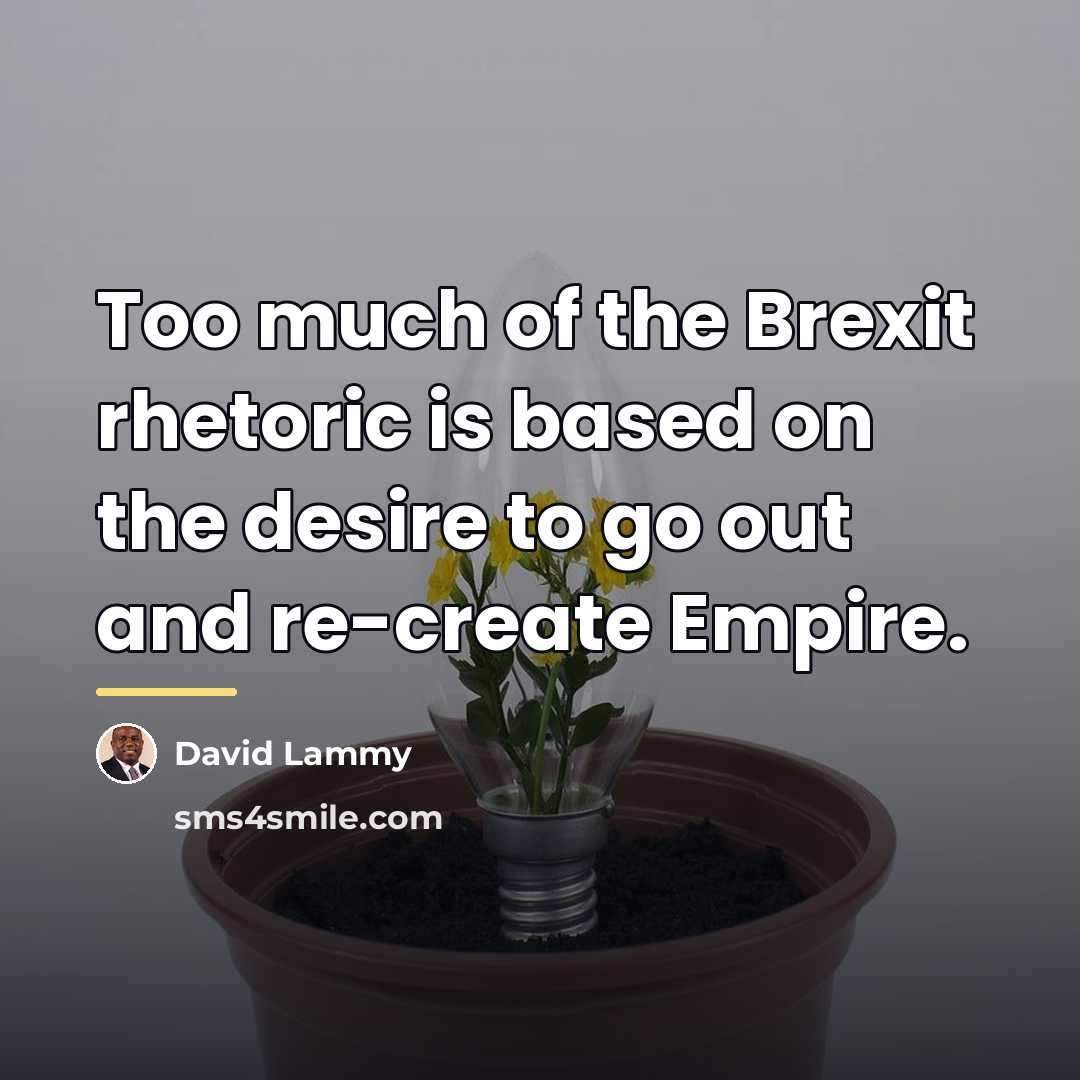 “Too much of the Brexit rhetoric is based on the…” quote by David Lammy