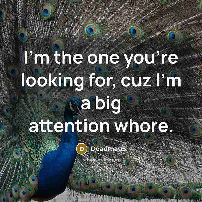 “I'm the one you're looking for, cuz I'm a big attention whore.” quote by Deadmau5