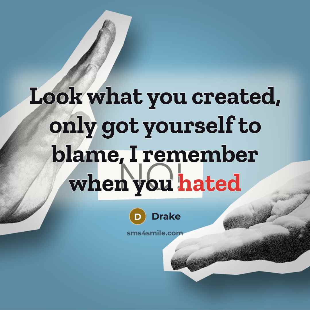 “Look what you created, only got yourself to blame, I…” quote by Drake